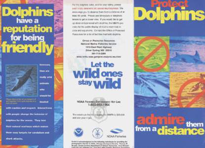 Protect Dolphins Campaign brochure