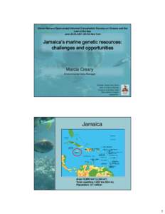 United Nations Open-ended Informal Consultative Process on Oceans and the Law of the Sea June 25-29, 2007, UN HQ New York Jamaica’s marine genetic resources: challenges and opportunities