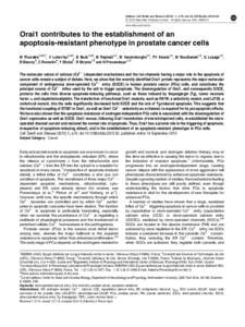 Orai1 contributes to the establishment of an apoptosis-resistant phenotype in prostate cancer cells