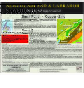 NEWFOUNDLAND & LABRADOR Explore The Opportunities Burnt Pond - Copper- Zinc The Burnt Pond Copper-Zinc Property consists of 23 claims located approximately 8 km northeast of Tally Pond, 20 km south of Millertown in Centr