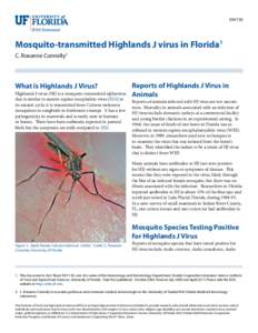 ENY720  Mosquito-transmitted Highlands J virus in Florida1 C. Roxanne Connelly2  What is Highlands J Virus?