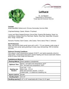 Lettuce Dr. Joe Masabni Department of Horticulture Texas AgriLife Extension Service  Varieties