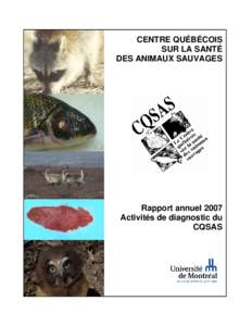 Report for the implantation of satellite transmitters on the long-tailed duck (Clangula hyemalis) wintering in eastern Canada