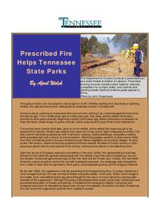 Prescribed Fire Helps Tennessee State Parks By April Welch  The Department of Forestry conducts a prescribed burn