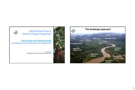 IUCN Global Forest & Climate Change Programme Governance and Protected Areas Landscape Level Institutional Arrangements  The landscape approach