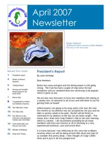 April 2007 Newsletter . Sipidan inhabitant – Nudibranch photo courtesy of Mark Maddern. Full story in the next issue.