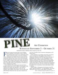 E N I P  “Sunlit Pine Branch” by Elmore DeMott