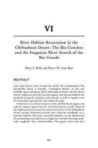 VI River Habitat Restoration in the Chihuahuan Desert: The Río Conchos