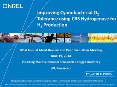 Improving Cyanobacterial O2-Tolerance using CBS Hydrogenase for H2 Production