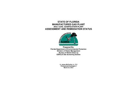 STATE OF FLORIDA MANUFACTURED GAS PLANT AKA: COAL GASIFICATION PLANT ASSESSMENT AND REMEDIATION STATUS