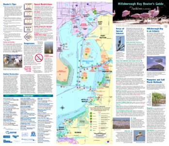 Sternula / Alafia River / Hillsborough River / Tampa /  Florida / Seagrass / Sea turtle / Least Tern / Manatee / Bird nest / Geography of Florida / Florida / Tampa Bay