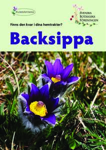 FLORAVÄKTARNA  Finns den kvar i dina hemtrakter? Backsippa