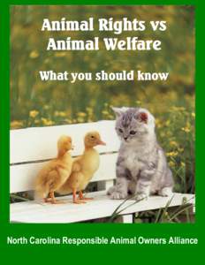 Animal Welfare supports humane treatment and use of animals and believes that humans have a responsibility for their care. Animal Welfare includes responsible care of animals used by humans for service, research, food, 