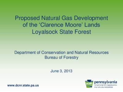 Proposed Natural Gas Development of the ‘Clarence Moore’ Lands Loyalsock State Forest Department of Conservation and Natural Resources Bureau of Forestry