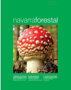 Navarra forestal 32:N.FORESTAL 14
