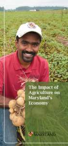 The Impact of Agriculture on Maryland’s Economy  KEY FINDINGS