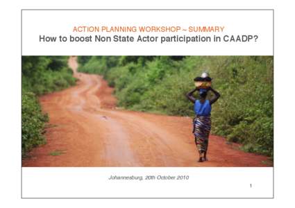 ACTION PLANNING WORKSHOP ~ SUMMARY  How to boost Non State Actor participation in CAADP? Johannesburg, 20th October[removed]