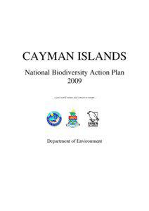 Cyclura / Iguanidae / Biodiversity / Cayman Islands / Grand Cayman / Little Cayman / Queen Elizabeth II Botanic Park / Blue Iguana / Biodiversity Action Plan / Biology / Environment / Earth