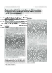 Blackwell Science, LtdOxford, UKMMIMolecular Microbiology0950-382XBlackwell Publishing Ltd, 2004? 2004541148158Original ArticleNsrR regulation of NirK expression in N. europaeaH. J. E. Beaumont et al. Molecular Microbiol