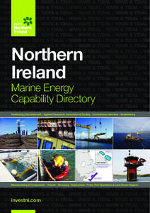 Low-carbon economy / Renewable energy in Scotland / Aquamarine Power / European Marine Energy Centre / National Renewable Energy Centre / Tidal power / Sustainable energy / Marine energy / Strangford Lough / Energy / Renewable energy / Technology