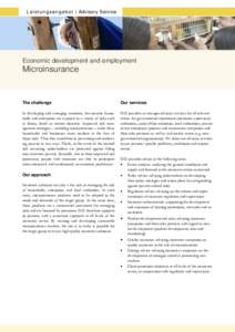 L e i s t u n g s a n g e b o t | Advisory Service  Economic development and employment Microinsurance