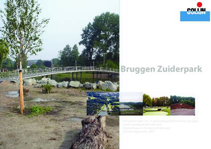 Bruggen Zuiderpark  Het aanbrengen van 15 getoogde prefab betonnen bruggen in het Zuiderpark te Rotterdam Opdrachtgever: Gemeente Rotterdam Uitvoeringsperiode: 2007