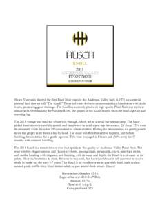 Husch Vineyards planted the first Pinot Noir vines in the Anderson Valley back in 1971 on a special piece of land that we call “The Knoll.” These old vines thrive in an outcropping of sandstone with shale lenses, pos