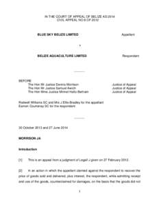 IN THE COURT OF APPEAL OF BELIZE AD 2014 CIVIL APPEAL NO 8 OF 2012 BLUE SKY BELIZE LIMITED  Appellant