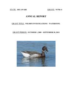 STATE: DELAWARE  GRANT: W37R-11 ANNUAL REPORT GRANT TITLE: WILDIFE INVESTIGATIONS – WATERFOWL