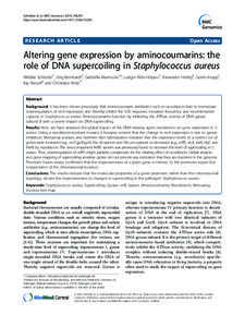 Exploring the gonad transcriptome of two extreme male pigs with RNA-seq