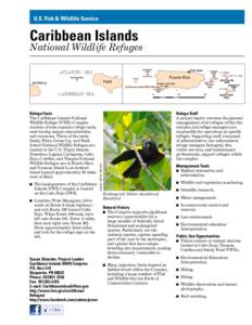 Environment of the United States / Buck Island National Wildlife Refuge / Green Cay National Wildlife Refuge / Vieques National Wildlife Refuge / Culebra /  Puerto Rico / Protected areas of the United States / United States Virgin Islands / Caribbean Islands National Wildlife Refuge Complex