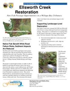 Ellsworth Creek Restoration New Fish Passage Opportunities in a Willapa Bay Tributary reduce road failure risks and sediment impacts to the watershed.