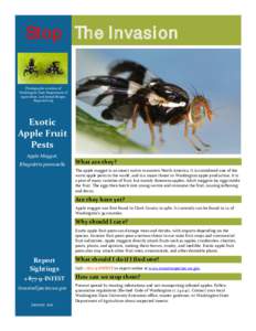 Exotic Apple Fruit Pests Fact Sheet