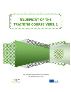 BLUEPRINT OF THE TRAINING COURSE VERS.1 EXEM – ECVET Profile for European Expert in Energy Management Grant agreement n001