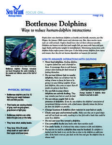 FOCUS ON...  masgc.org Bottlenose Dolphins