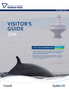 VISITOR’S GUIDE 2016 LIVE THE EXPERIENCE