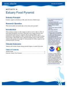 ACTIVITY 4  Estuary Food Pyramid Estuary Principle Estuaries support an abundance of life, and a diversity of habitat types.
