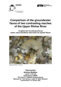 Eine Forschungsanstalt des ETH-Bereichs Comparison of the groundwater fauna of two contrasting reaches of the Upper Rhône River
