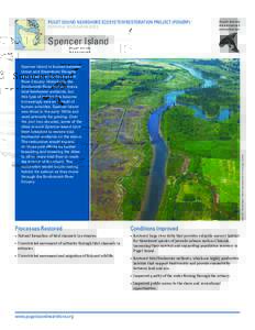 PUGET SOUND NEARSHORE ECOSYSTEM RESTORATION PROJECT (PSNERP) POTENTIAL RESTORATION SITES Spencer Island  IMAGE: Washington State Department of Ecology (2006)