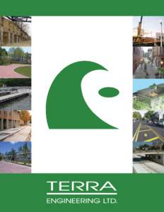 Leading Excellence As business professionals in the design and construction industry, we face challenges every day. As engineering professionals, TERRA Engineering embraces challenges and works with our clients and fell