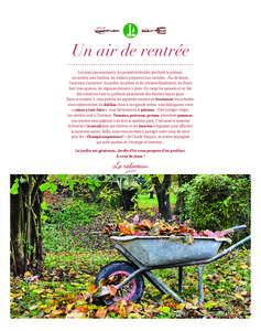 Un air de rentrée Les jours raccourcissent, les premières feuilles jonchent la pelouse, les soirées sont fraîches, les enfants préparent leur cartable… Pas de doute, l’automne s’annonce ! Au jardin, les arbr