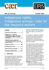 Microsoft Word - Indigenous SEE risk Briefing - final - OCT 2007 _v12_.doc