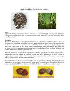 Quagga Mussel Risk Analysis for Arizona