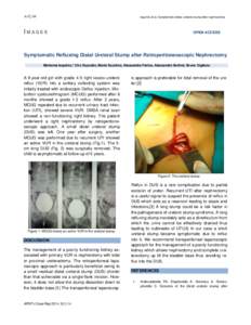 Iaquinto et al, Symptomatic distal ureteral stump after nephrectomy  I MAGES