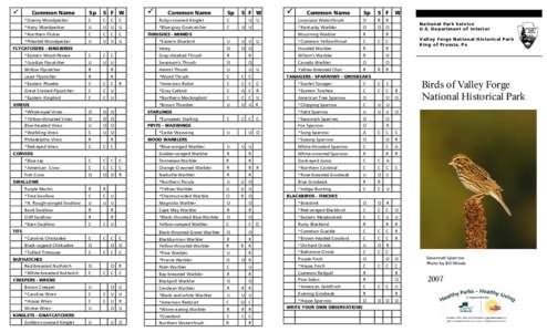 Yellow Warbler / Blue-winged Warbler / Ornithology / Shollenberger Park / Vermivora / Birds of Glacier National Park / Golden-winged Warbler