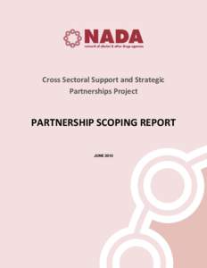 Cross Sectoral Support and Strategic Partnerships Project PARTNERSHIP SCOPING REPORT JUNE 2010