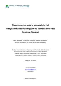Streptococcus suis is aanwezig in het maagdarmkanaal van biggen op Varkens Innovatie Centrum Sterksel Henk Wisselink1*, Conny van Solt-Smits1, Nienke Dirx-Kuiken2, Rudolph Raymakers3 en Carola van der Peet-Schwering4