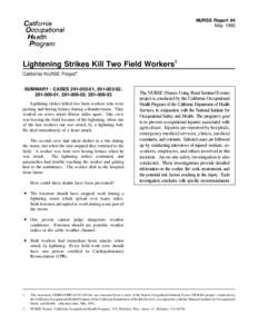 NASD: Lightning Strikes Kill Two Field Workers