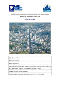 Unidad Temática de Desarrollo Económico Local – Red Mercociudades Perfil de las Economías Locales 2011 JUIZ DE FORA  Ciudad: Juiz de Fora