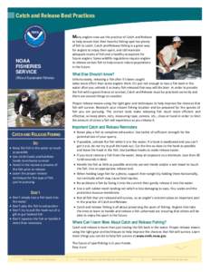 Catch and Release Best Practices Many anglers now use the practice of Catch and Release NOAA FISHERIES SERVICE